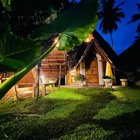 Turtle Wood Cabin Tangalle Exteriér fotografie