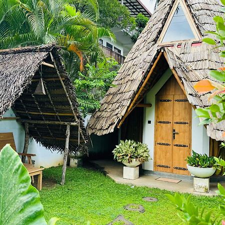 Turtle Wood Cabin Tangalle Exteriér fotografie