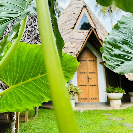 Turtle Wood Cabin Tangalle Exteriér fotografie