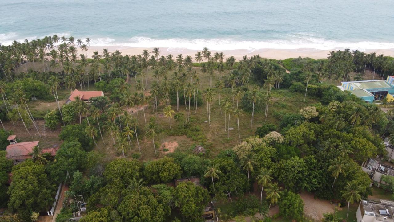 Turtle Wood Cabin Tangalle Exteriér fotografie