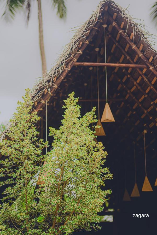 Turtle Wood Cabin Tangalle Exteriér fotografie