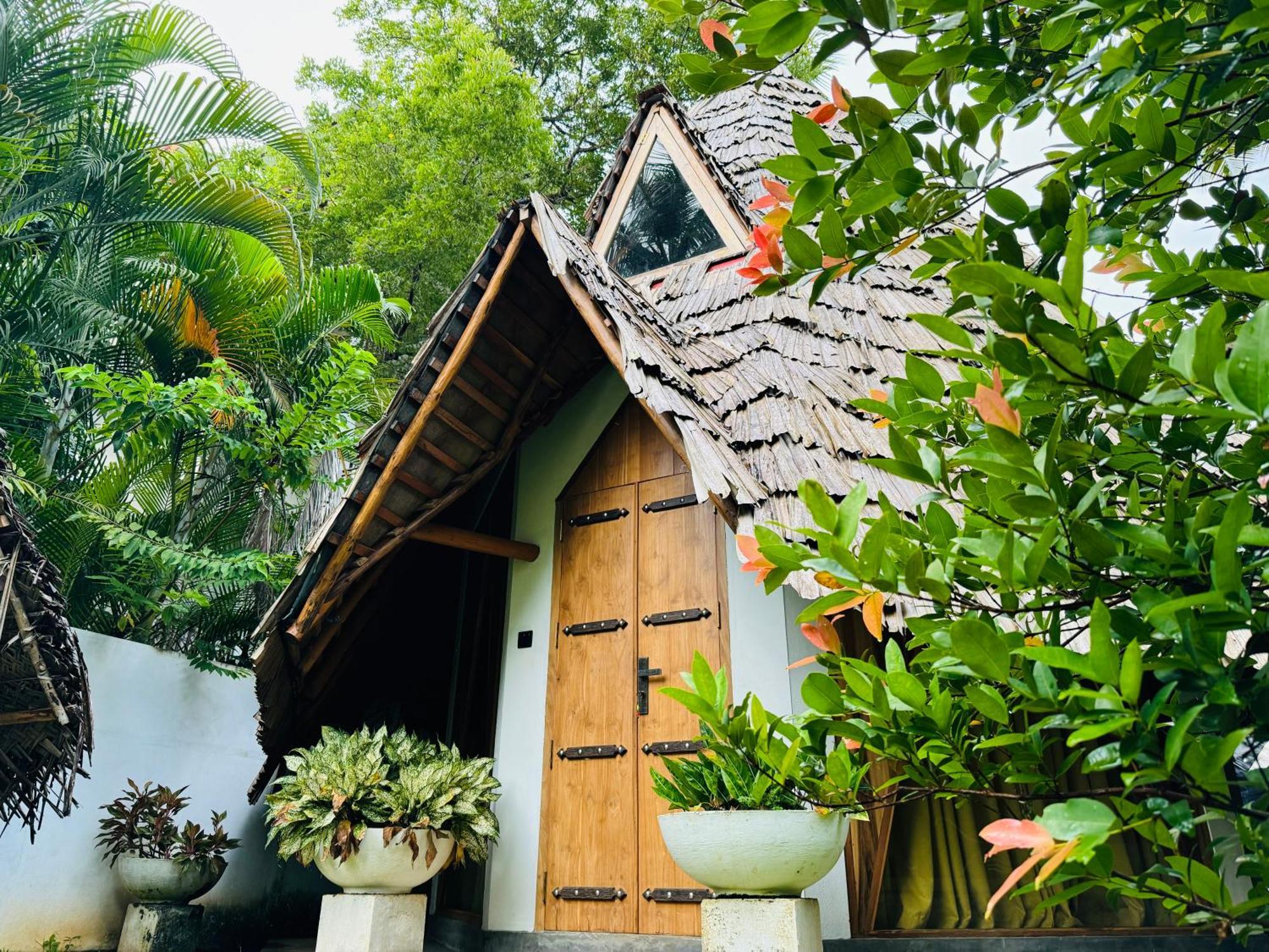Turtle Wood Cabin Tangalle Exteriér fotografie