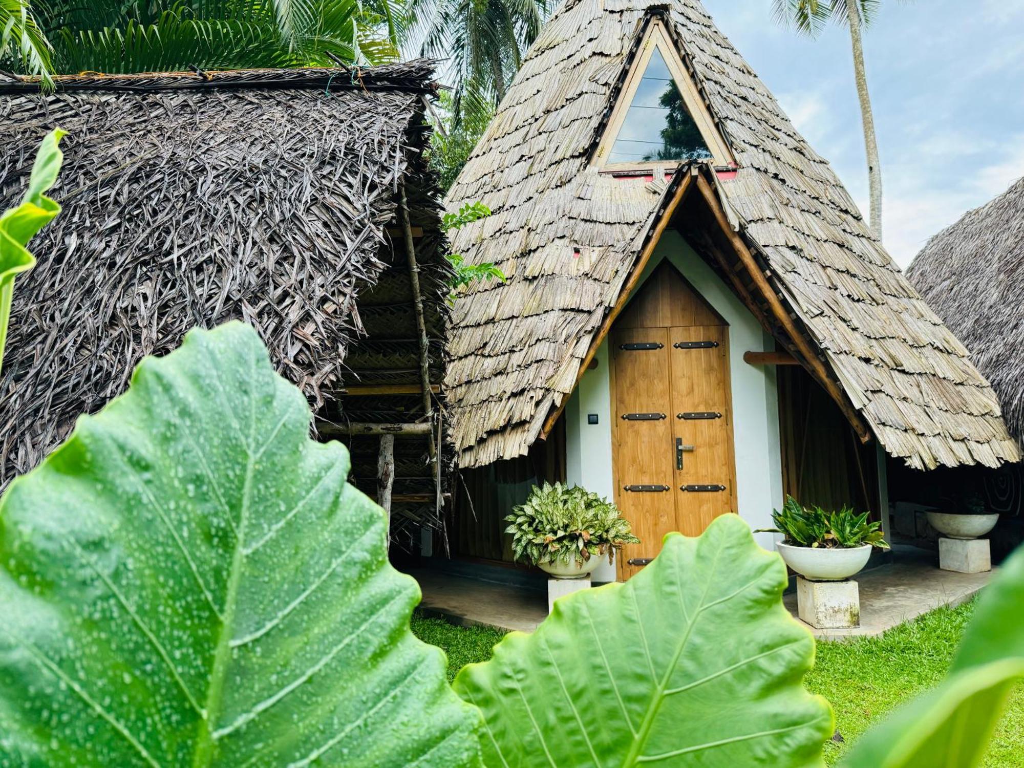 Turtle Wood Cabin Tangalle Exteriér fotografie