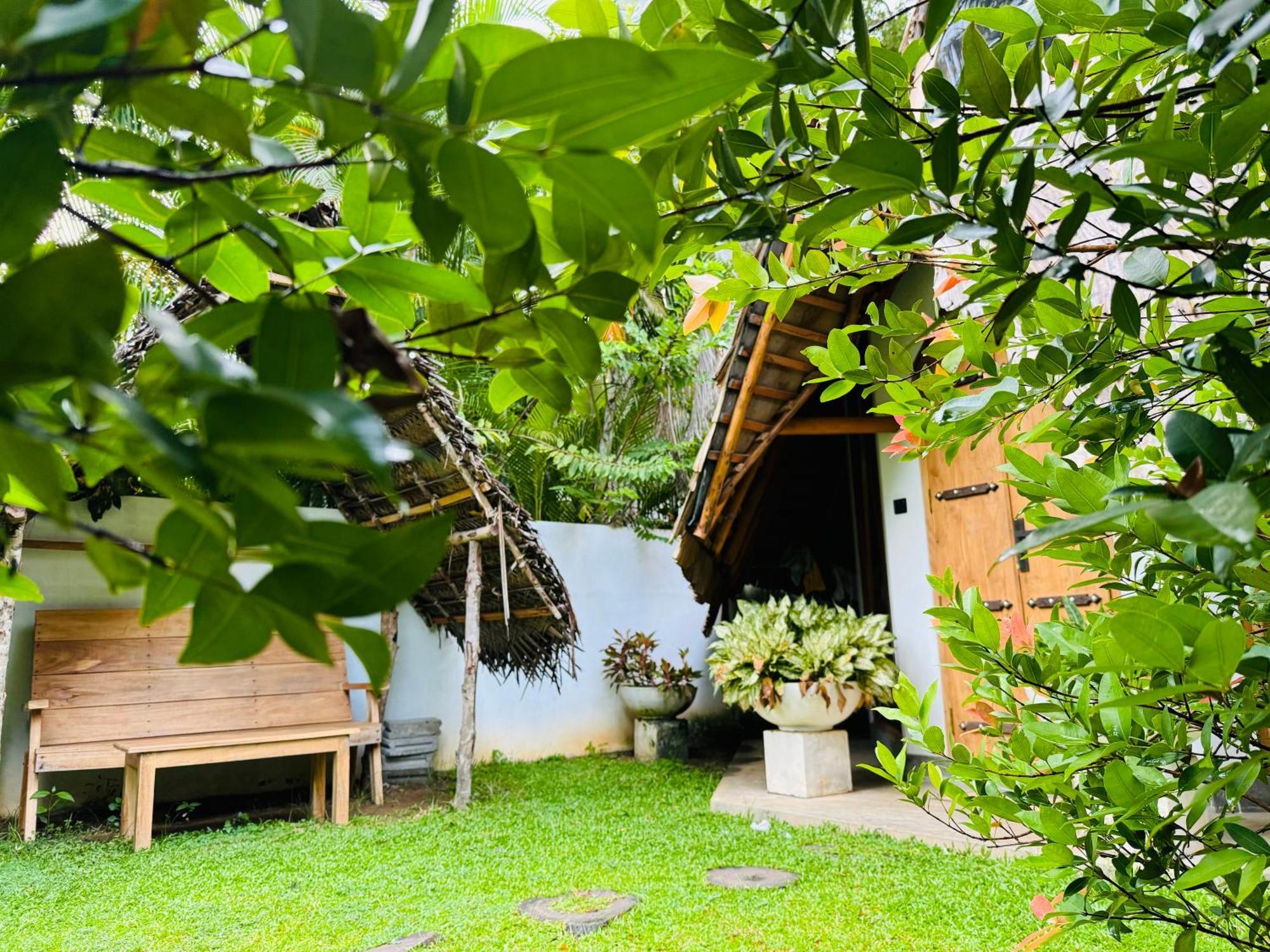 Turtle Wood Cabin Tangalle Exteriér fotografie