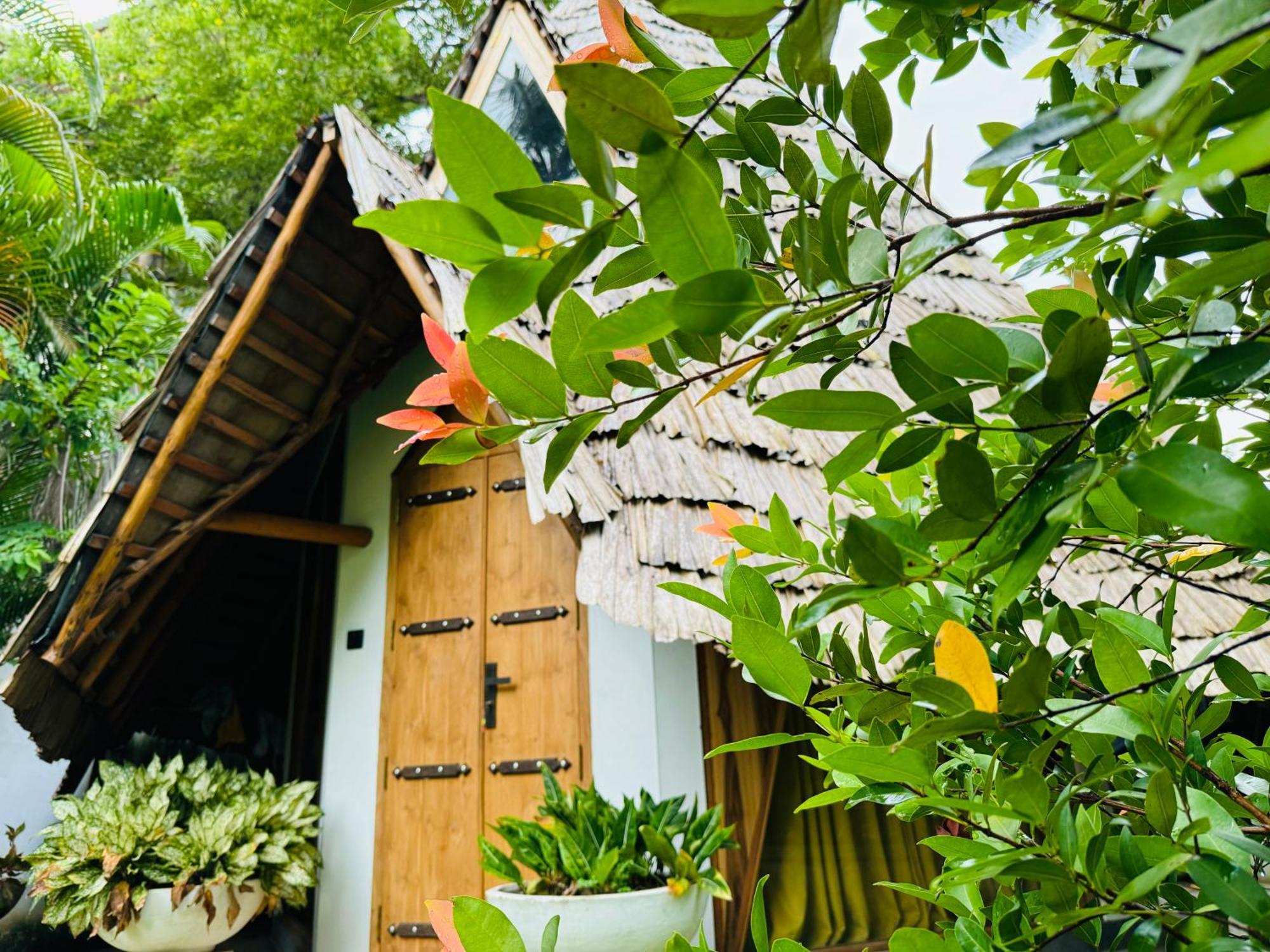 Turtle Wood Cabin Tangalle Exteriér fotografie