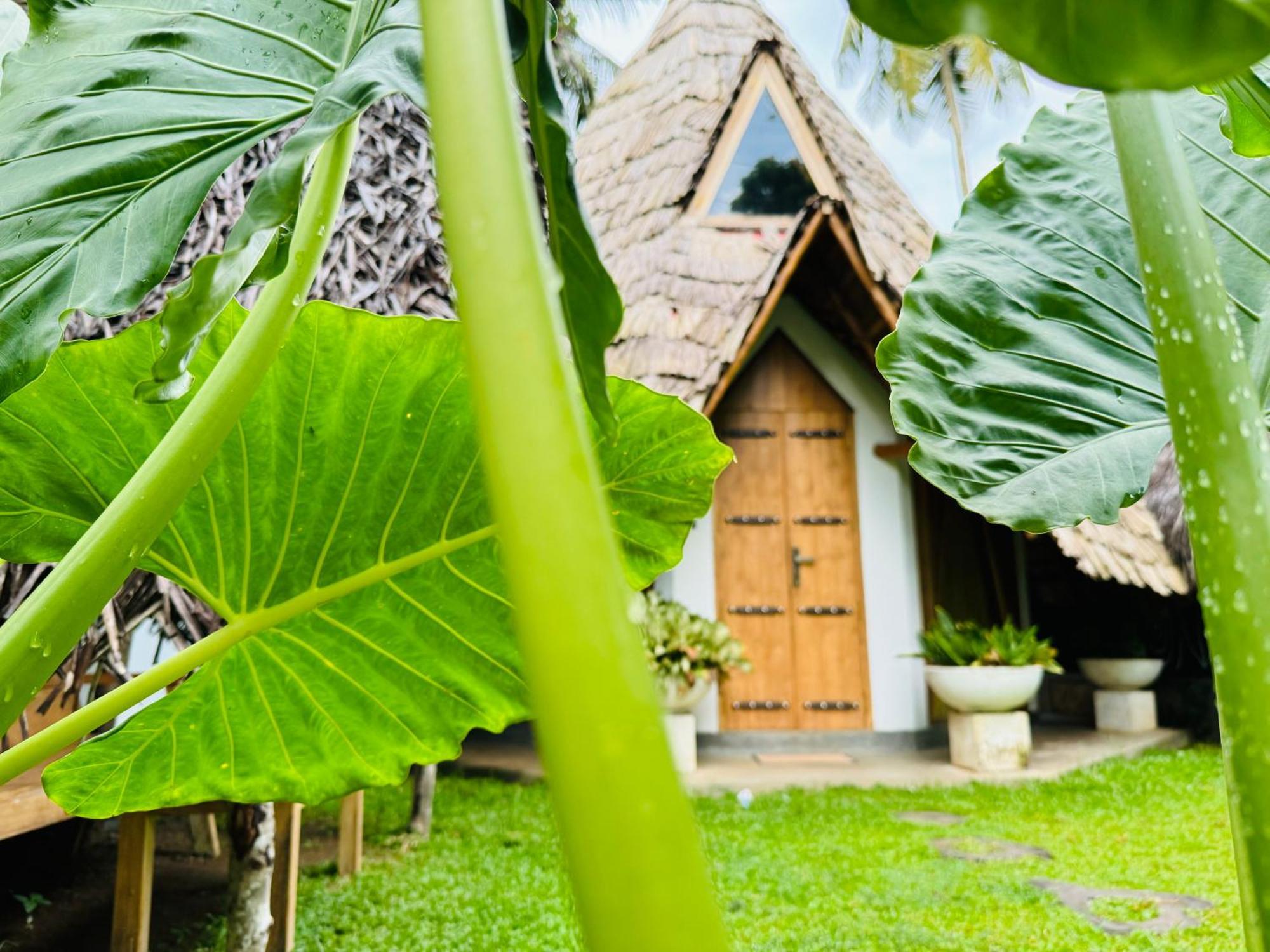 Turtle Wood Cabin Tangalle Exteriér fotografie