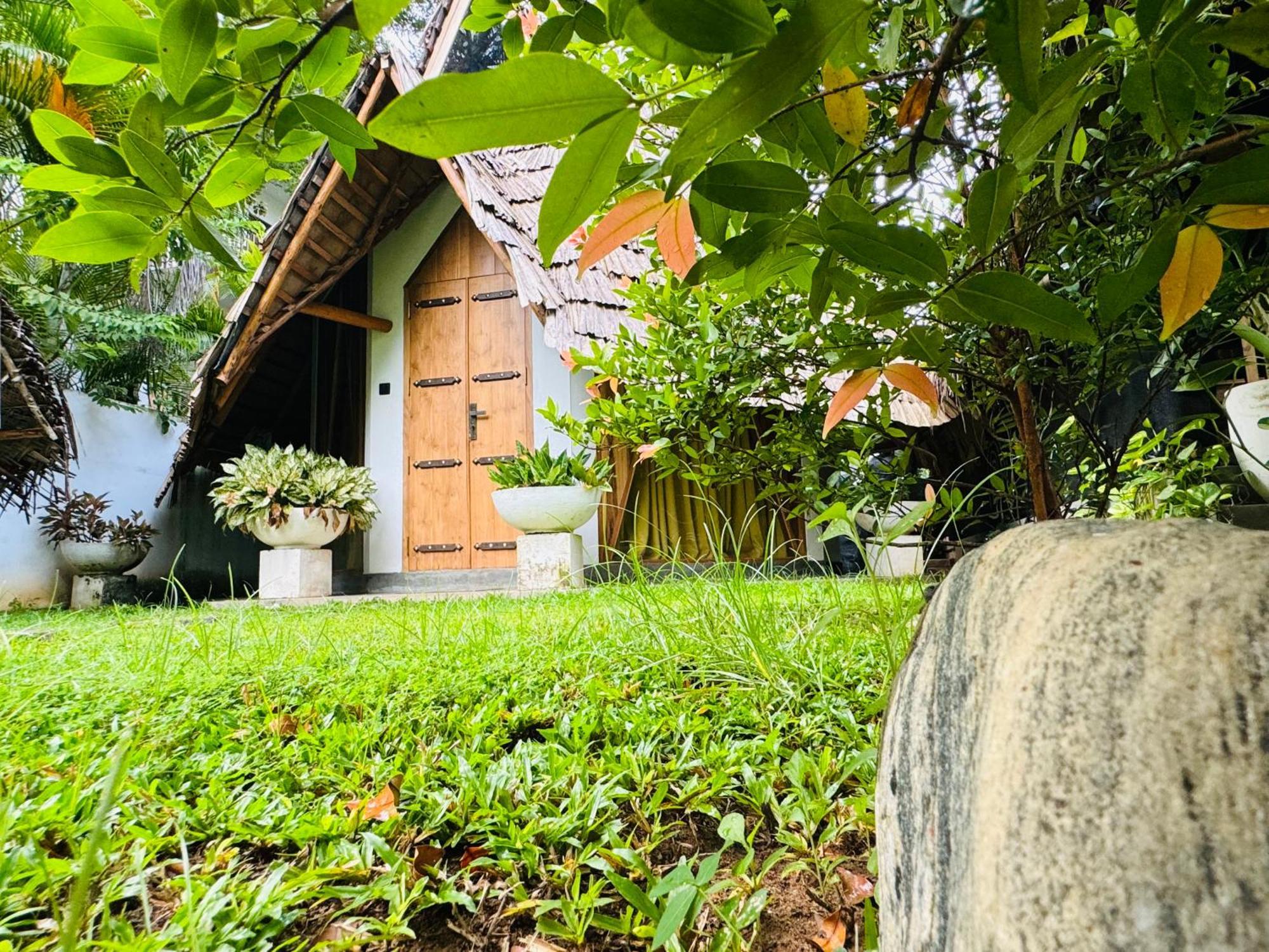 Turtle Wood Cabin Tangalle Exteriér fotografie