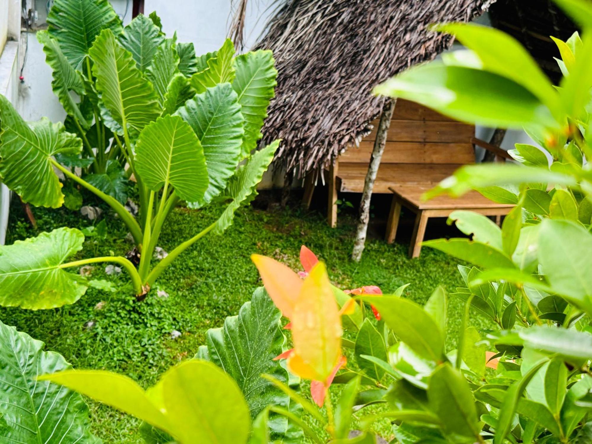 Turtle Wood Cabin Tangalle Exteriér fotografie