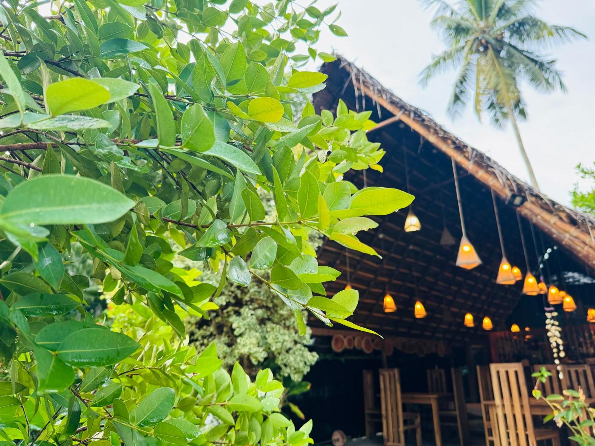 Turtle Wood Cabin Tangalle Exteriér fotografie