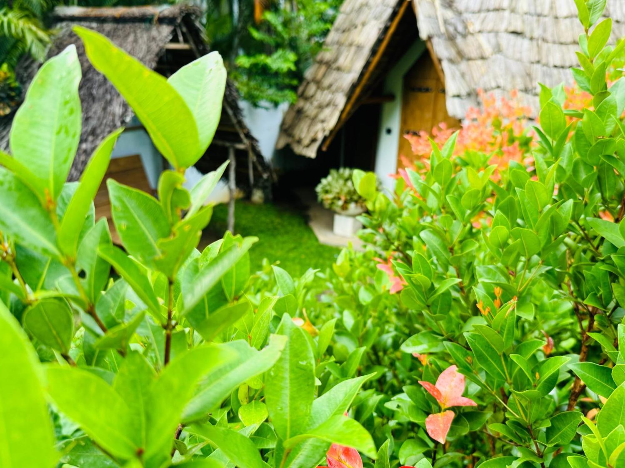 Turtle Wood Cabin Tangalle Exteriér fotografie
